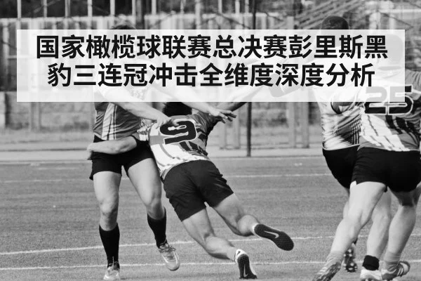国家橄榄球联赛总决赛彭里斯黑豹三连冠冲击全维度深度分析